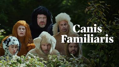 Canis Familiaris