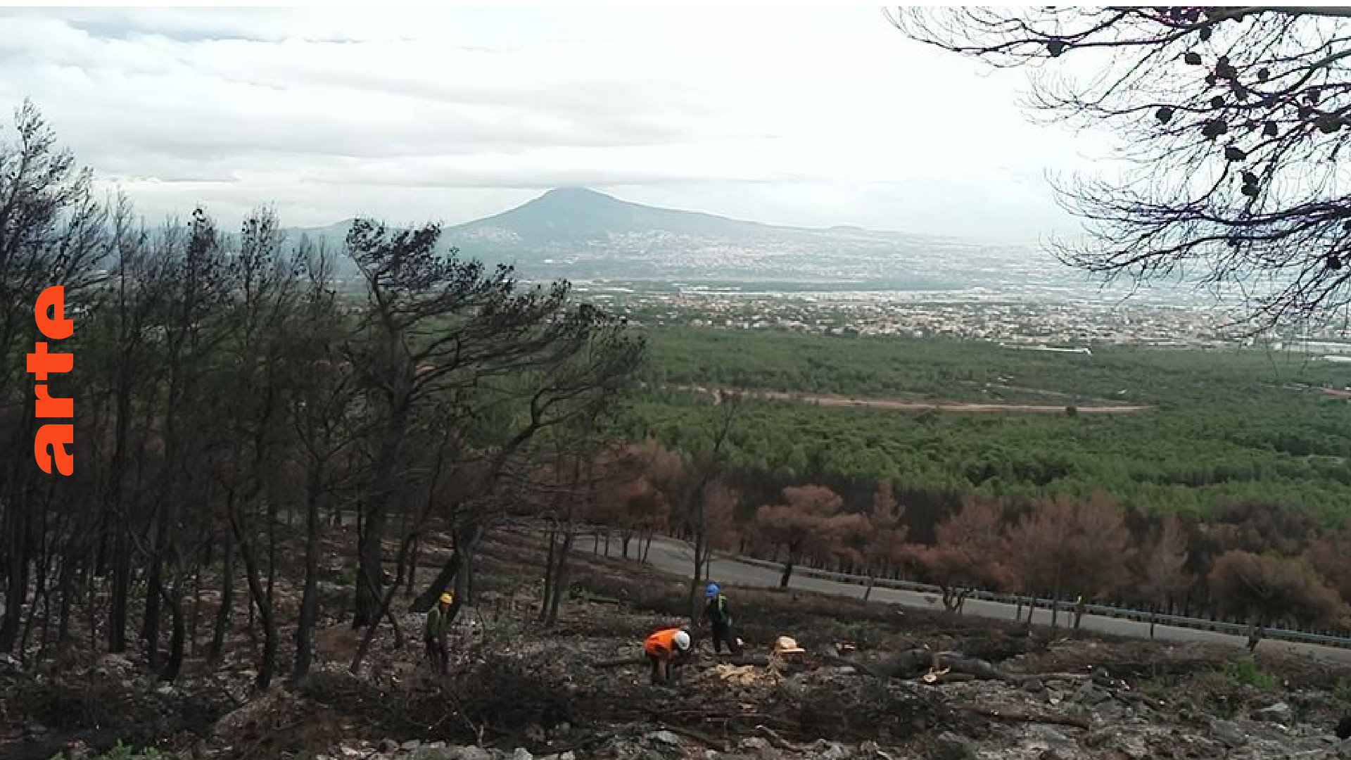 Klimawandel: Waldbrände in Griechenland