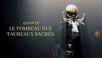 gypte - enqute sur la ncropole des taureaux sacrs en streaming