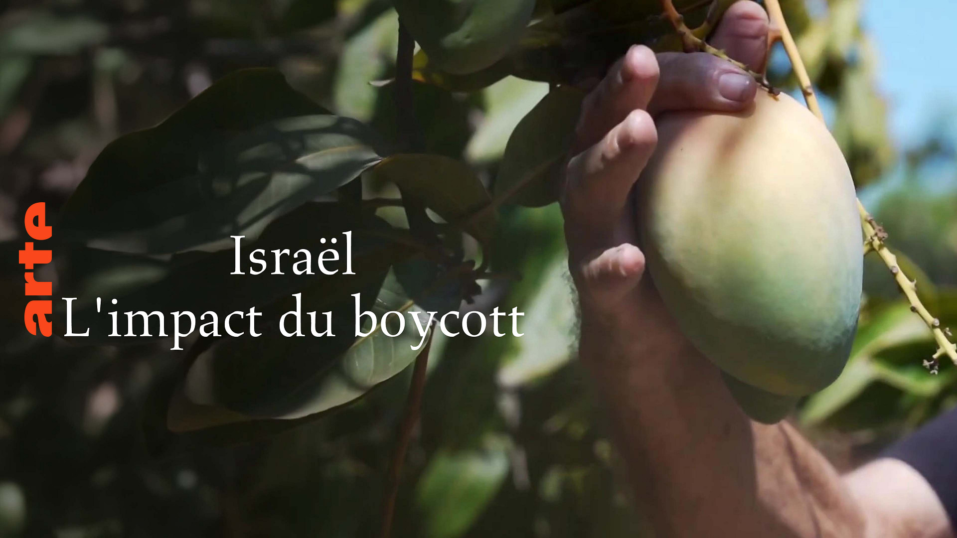 Le boycott des produits israéliens a-t-il un impact ? - Regarder le documentaire complet | ARTE