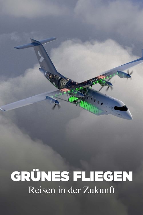 Grünes Fliegen.