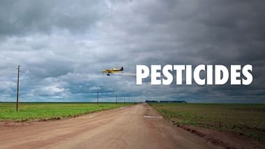 Pesticides : l’hypocrisie européenne