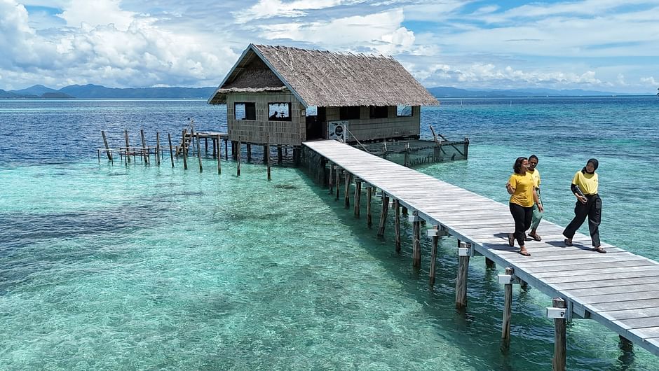 Dokureihe: „Gute Nachrichten vom Planeten“ 