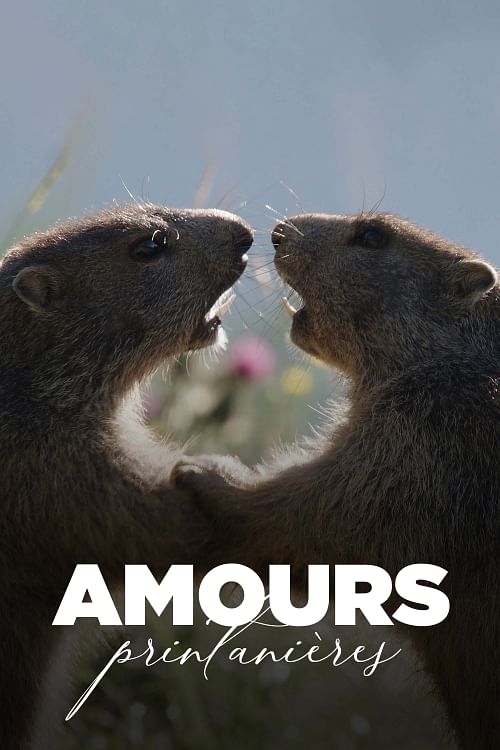 Amours printanières - Séduction et reproduction chez les animaux.