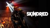 Skindred
