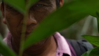 ARTE Reportage - Guatemala: Guardians of the Maya Forest - Watch ...
