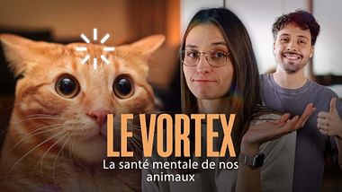 Le Vortex