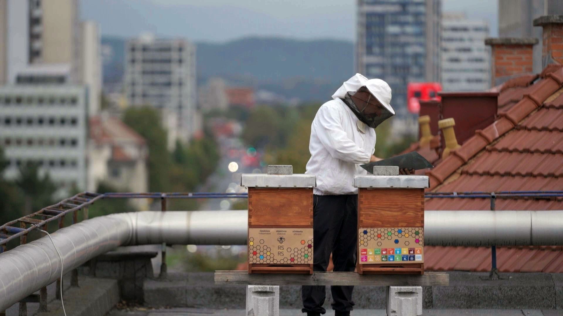 Re: Slovenian Bee Culture - Watch The Full Documentary | ARTE In English