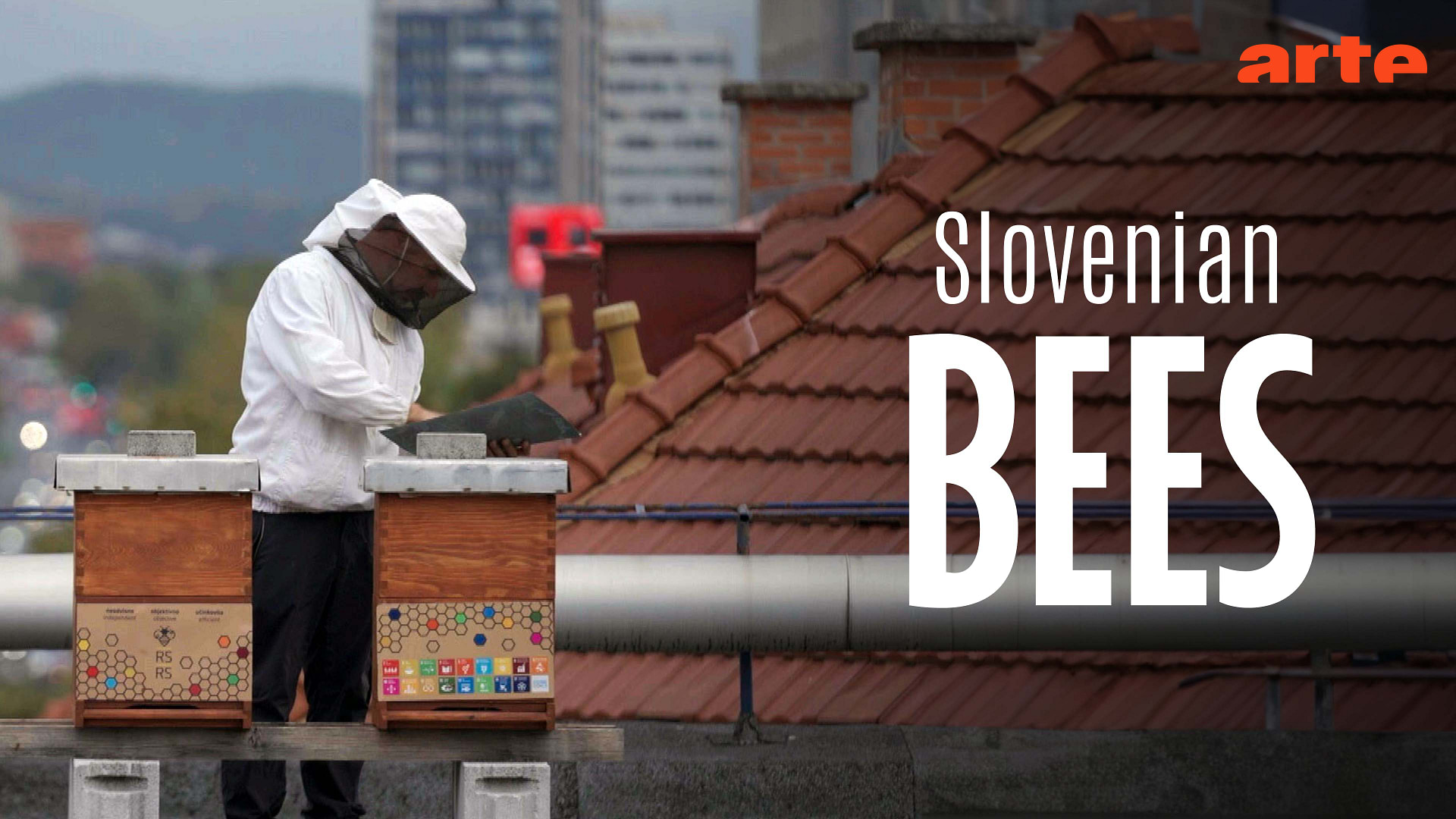 Re: Slovenian Bee Culture - Watch the full documentary | ARTE in English