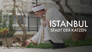 Istanbul, Stadt der Katzen.