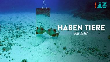 42 - Haben Tiere ein Ich?