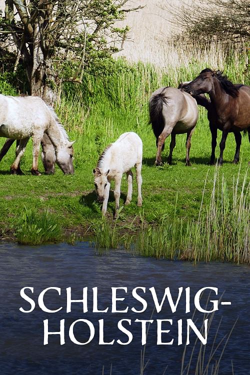 Schleswig-Holstein - Zwei Meere, ein Land.