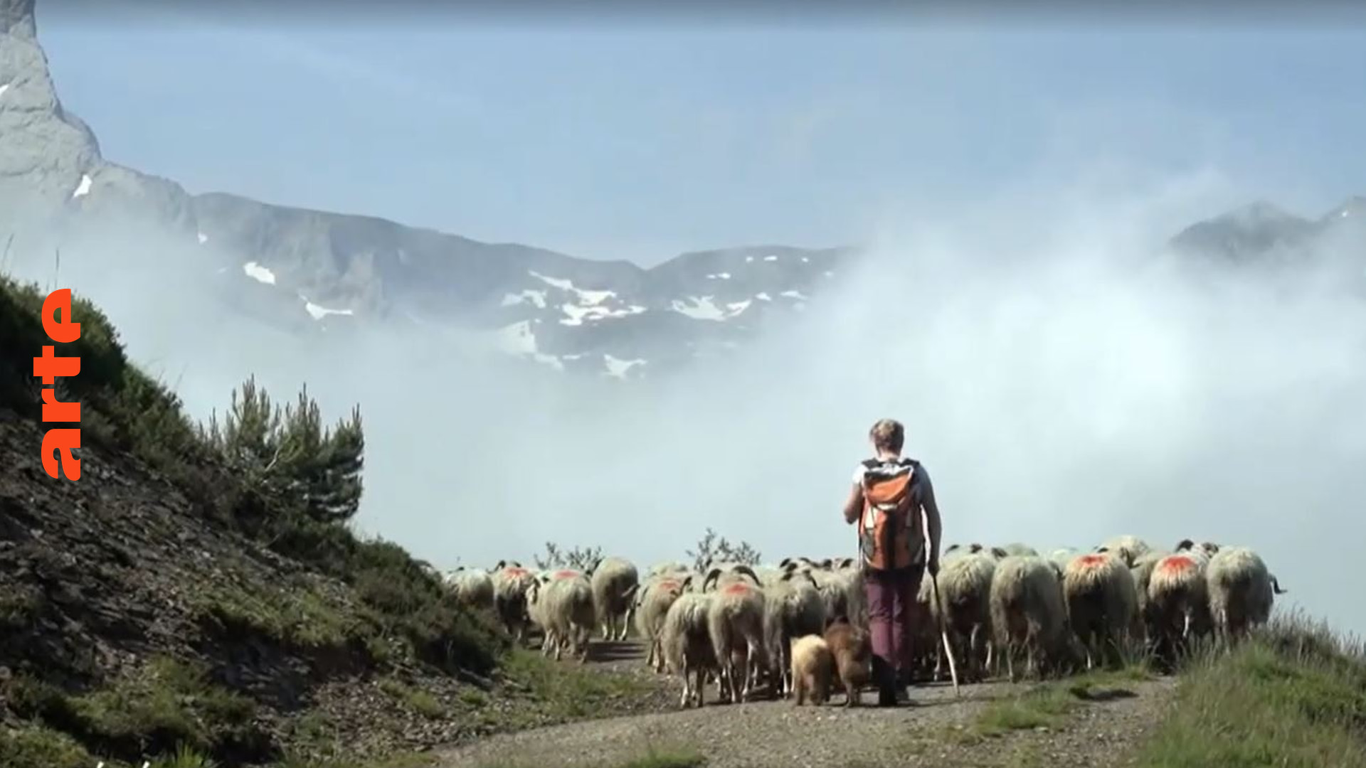 Pyrenäen: Ganz oben mit den Schafen