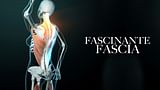 Fascinante fascia