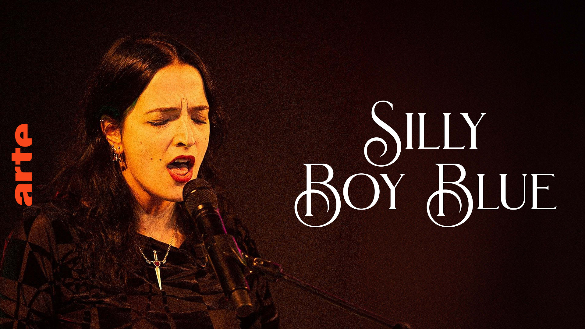 Silly Boy Blue Stalker, The Fight Laser Disc Programm in voller