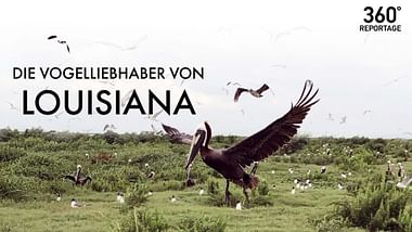 Die Vogelliebhaber von Louisiana.