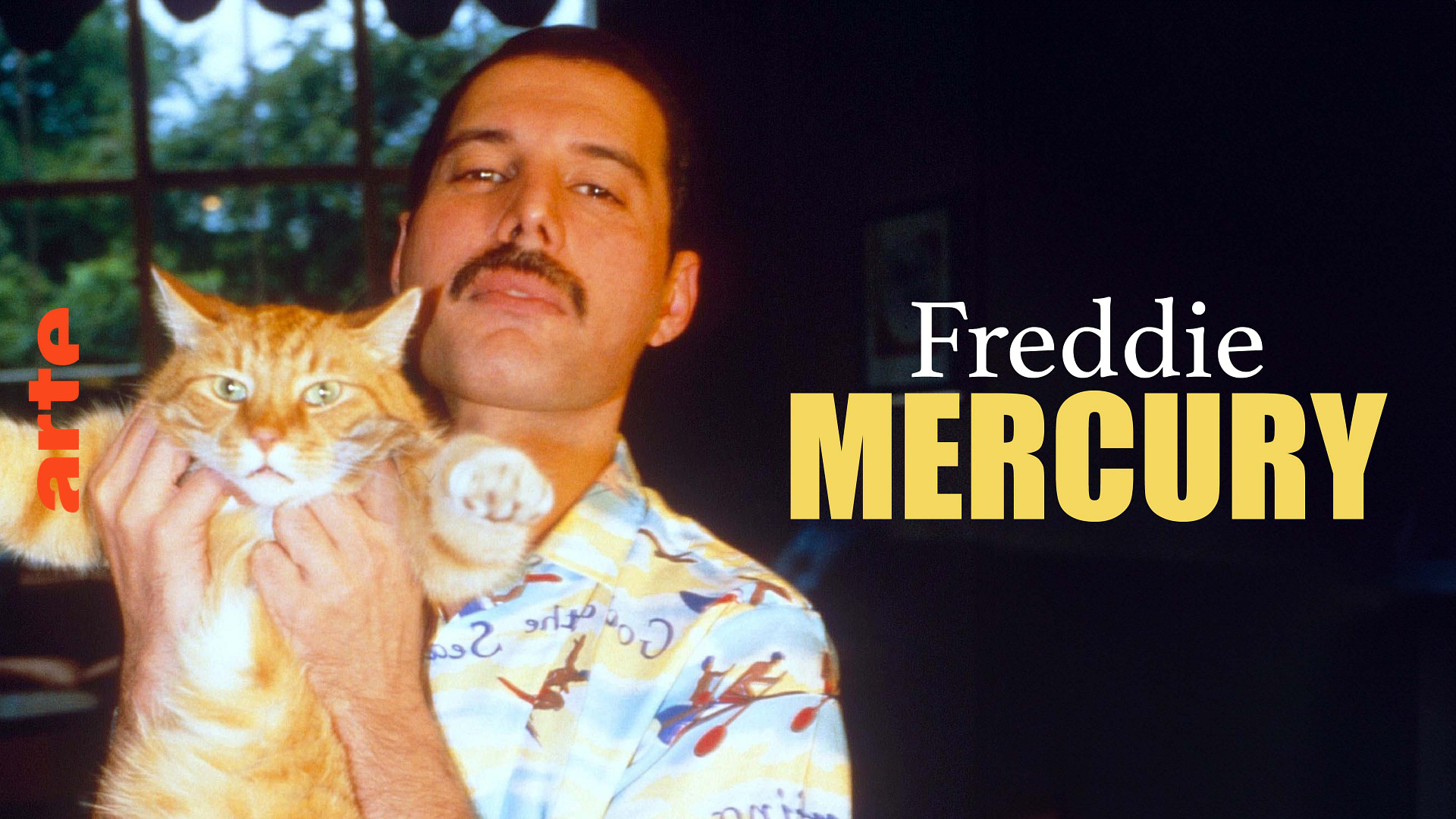 Freddie Mercury - The Great Pretender