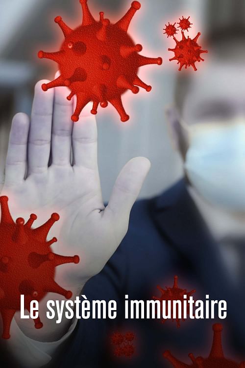 Le système immunitaire.