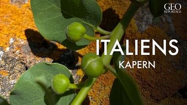 Italiens Kapern