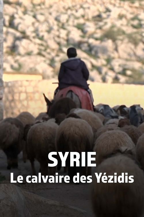 En Syrie, le calvaire des Yézidis n'est pas terminé.