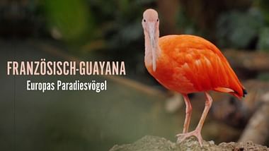 Französisch-Guayana.