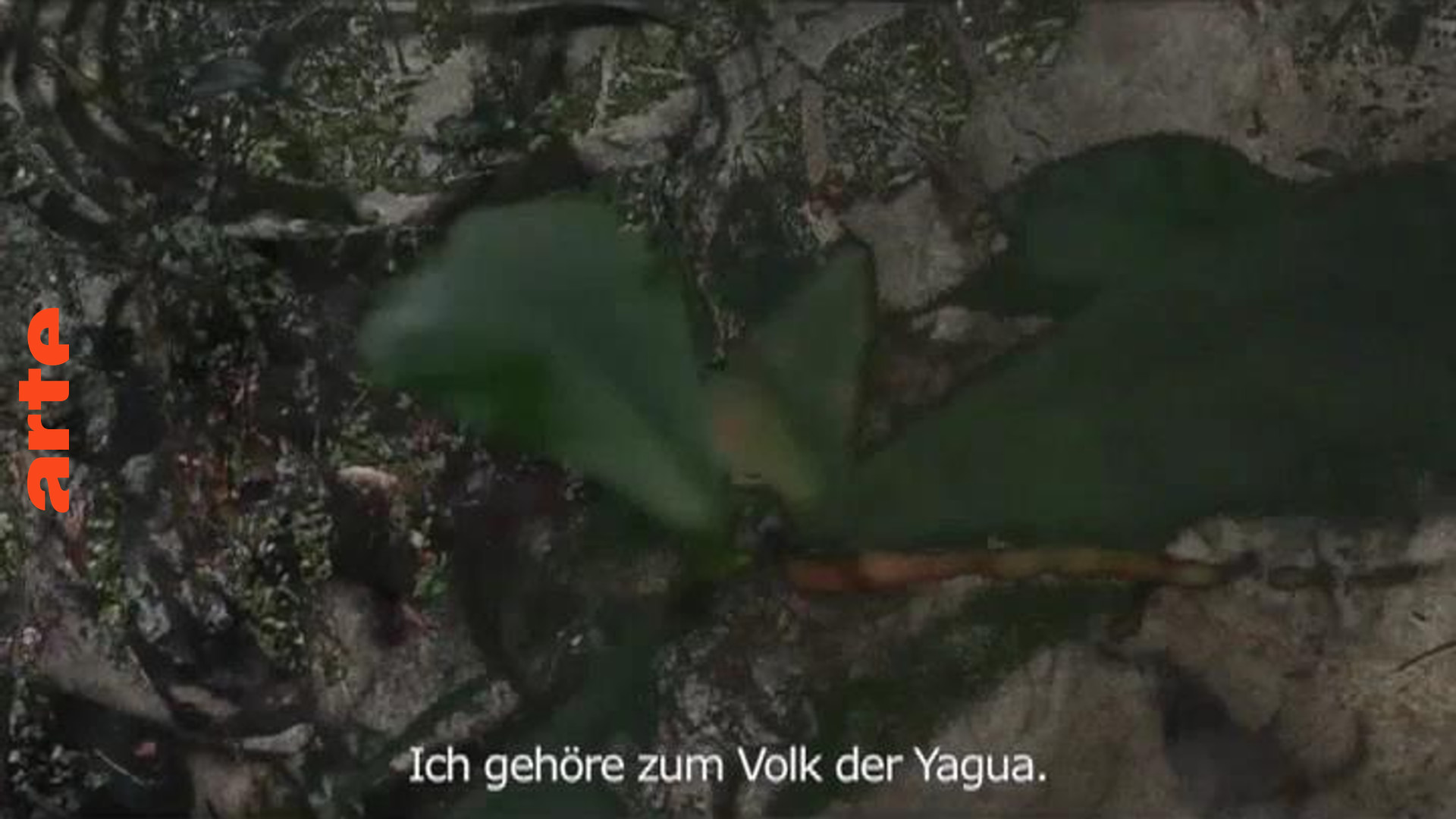 Werner Herzog von Johanna Vaude - Blow up