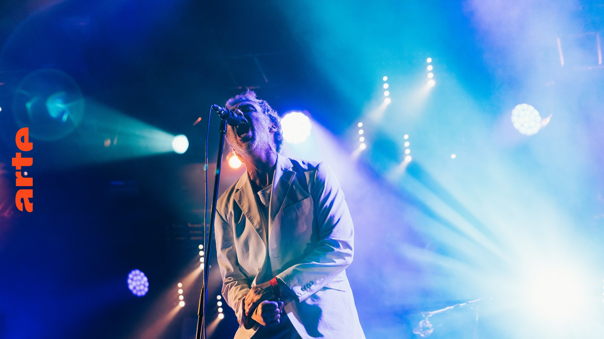 Baxter Dury Doa / Leak / I'm Not Your Dog Programm in voller Länge ARTE Concert