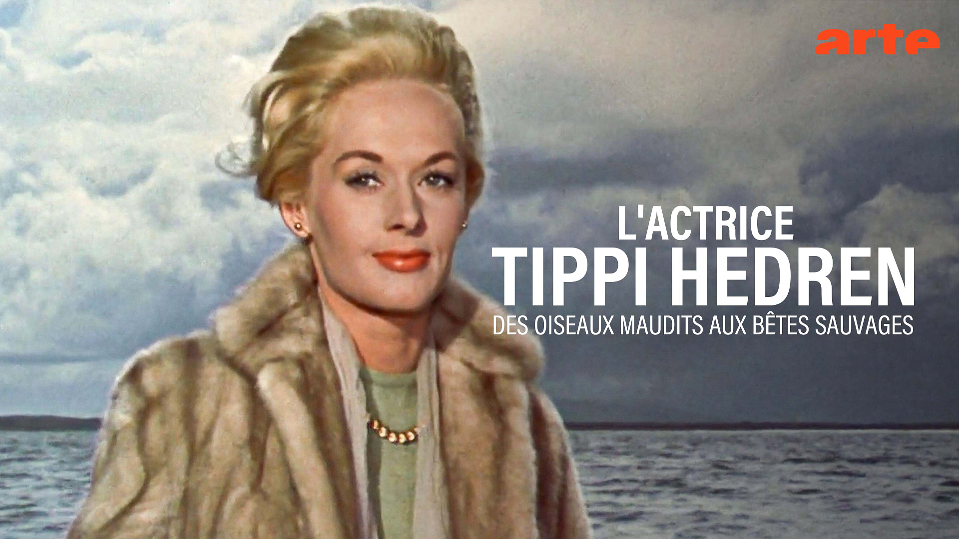 L'actrice Tippi Hedren - Des oiseaux maudits aux bêtes sauvages ...
