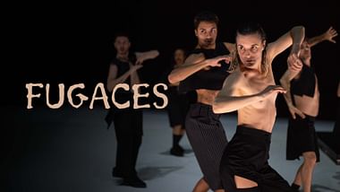 Aina Alegre: FUGACES