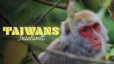 Taiwans Inselwelt.