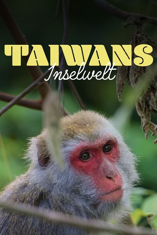 Taiwans Inselwelt.