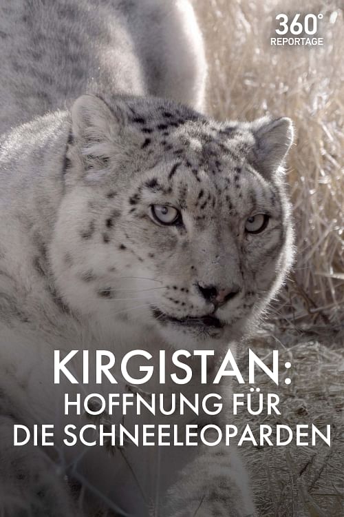 Hoffnung für die Schneeleoparden.