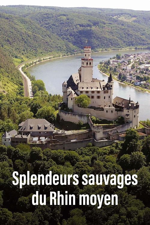 Splendeurs sauvages du Rhin moyen.