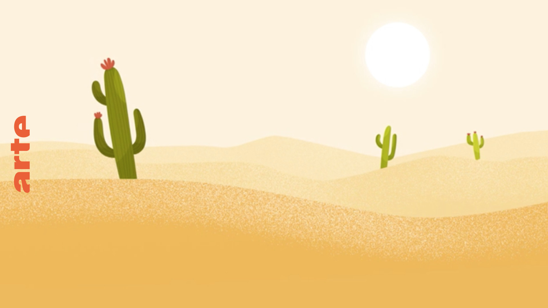 Wie können Kakteen in der Wüste wachsen?