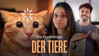 Die Psychologie der Tiere.
