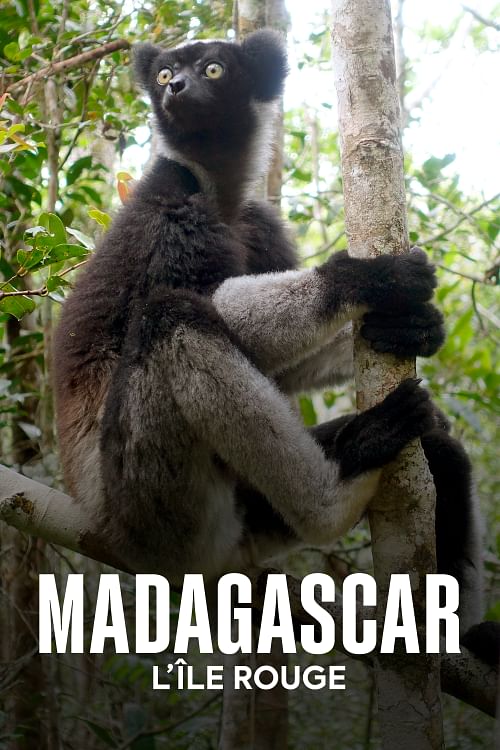 Madagascar, l’île rouge.