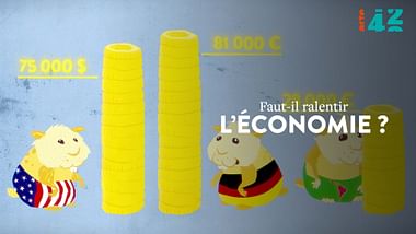 Faut-il ralentir l'économie - 42' la réponse à presque tout