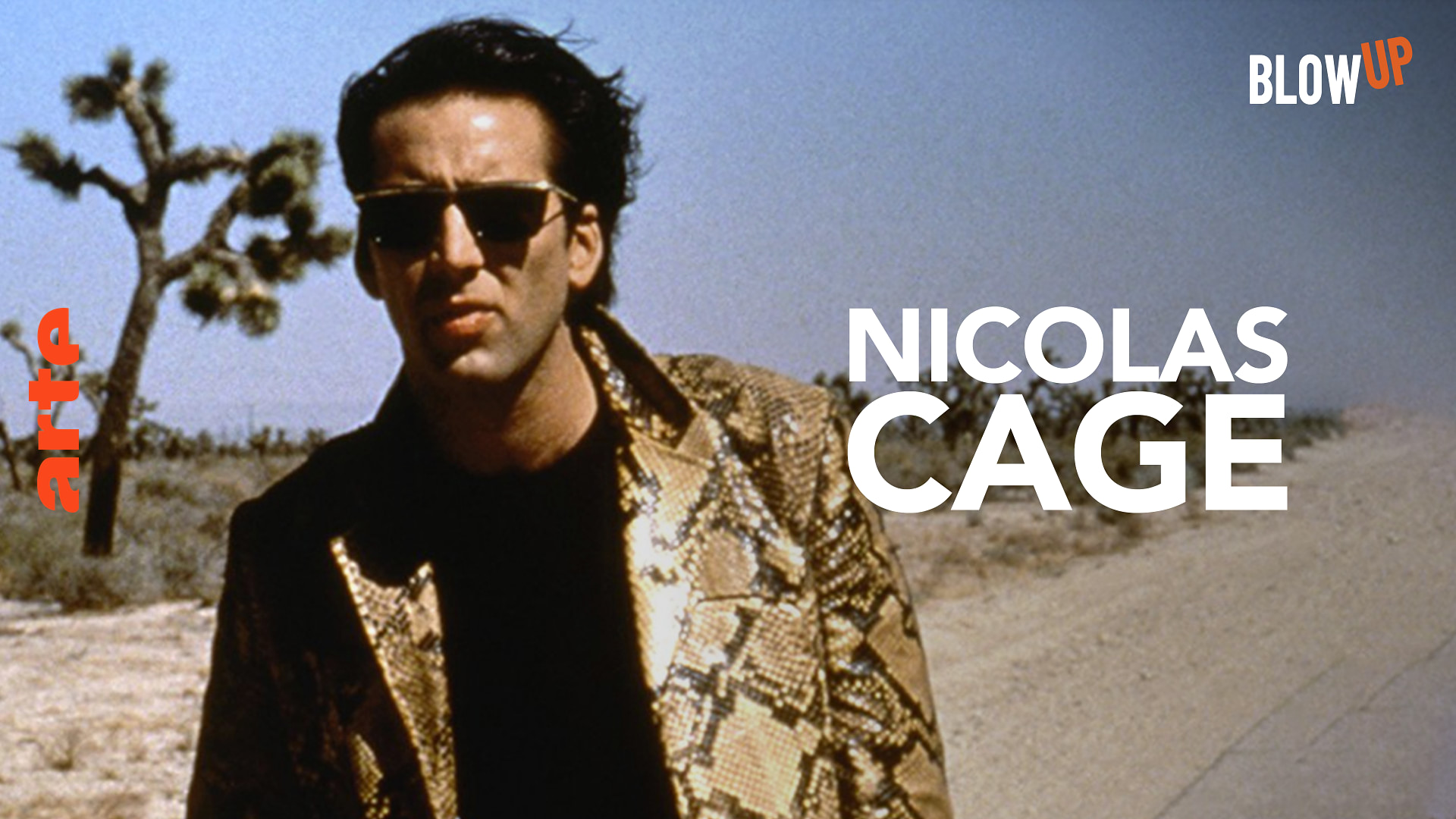Blow up - Worum geht's bei Nicolas Cage?