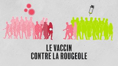 Data Science vs Fake