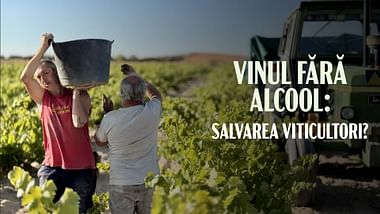 Vin fără alcool, revoluția viticulturii?