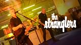 The Stranglers