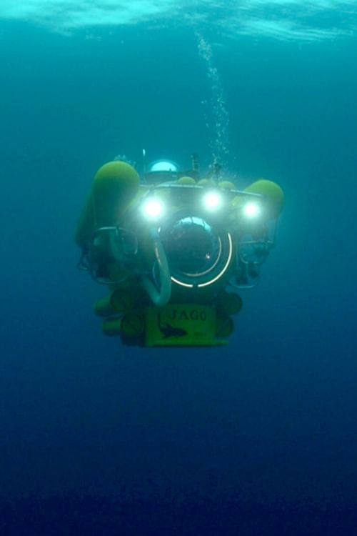 Das U-Boot (2/2).