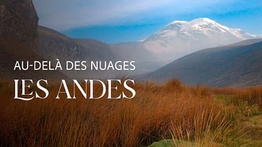 Au-delà des nuages : les Andes