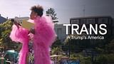 Trans in Trump's America: Leave or stay and fight?