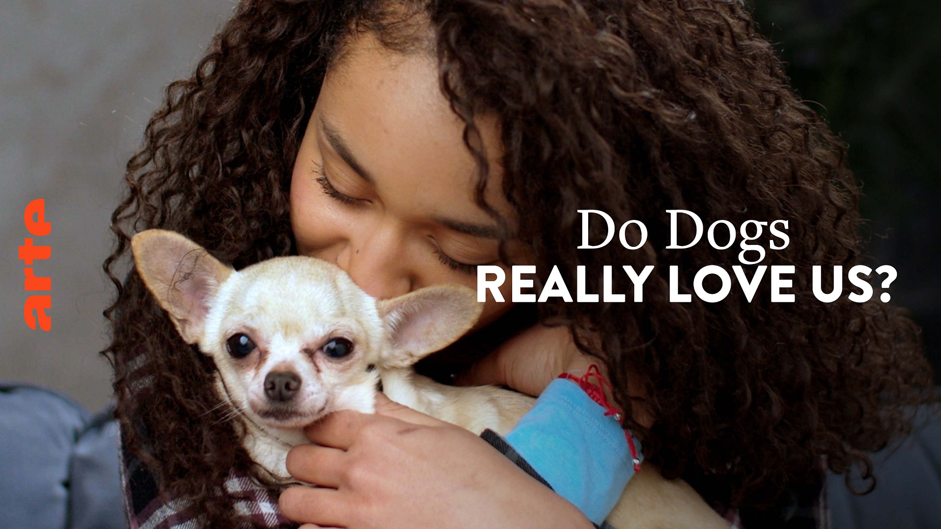 Do dogs love us discount