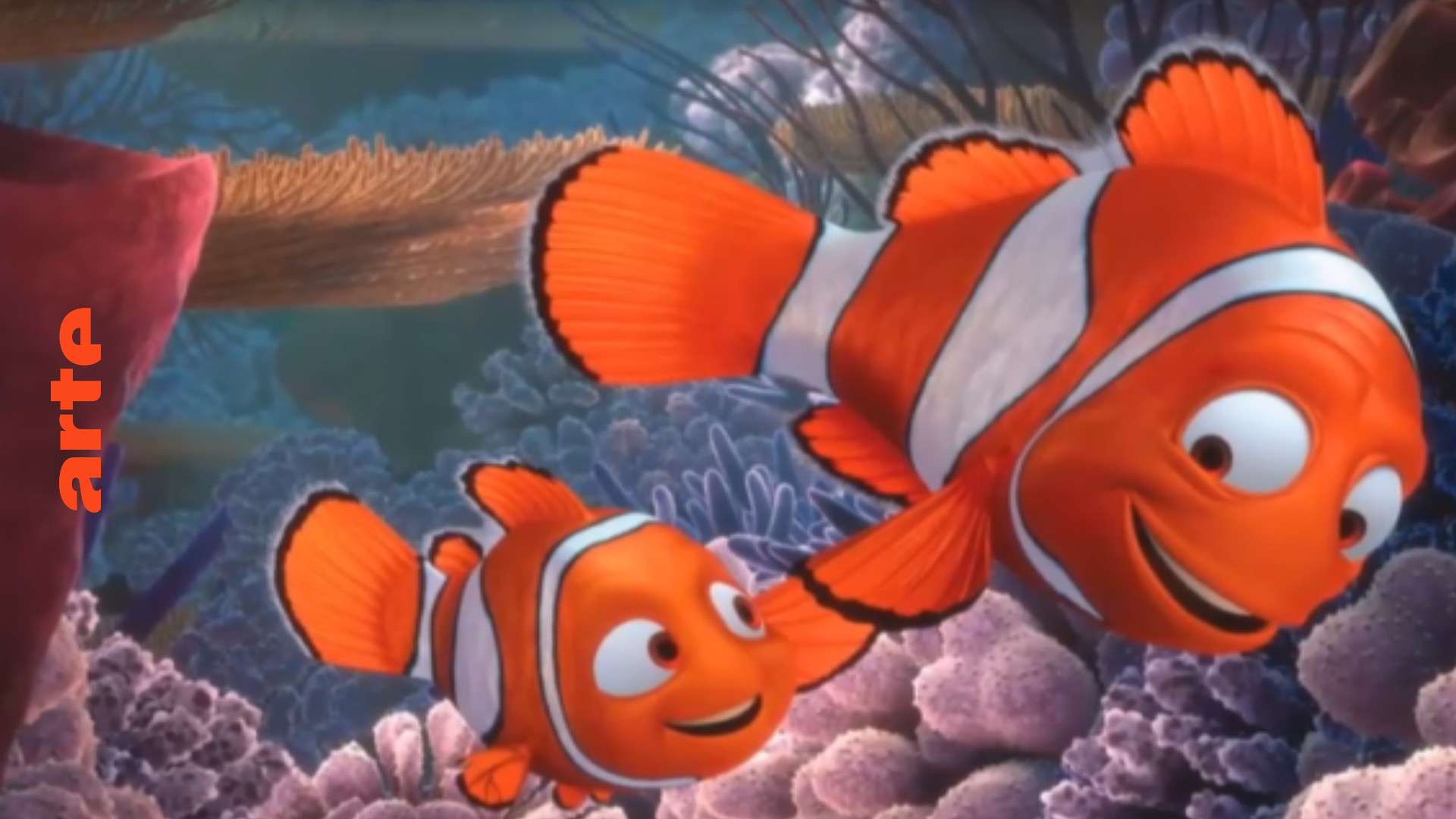 Australien: Das ökologische Element in „Findet Nemo“