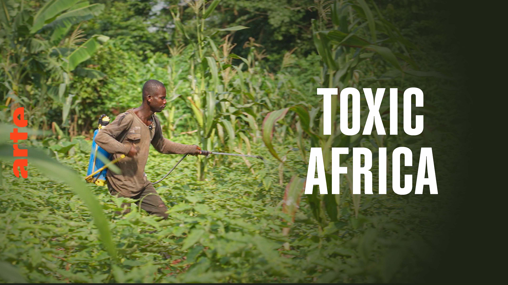 Jungle Porn Rape Video - ARTE Reportage - Ivory Coast: Toxic Africa - Watch the full documentary |  ARTE in English