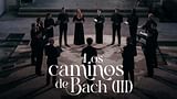 Los caminos de Bach
