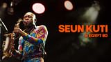 Seun Kuti & Egypt 80