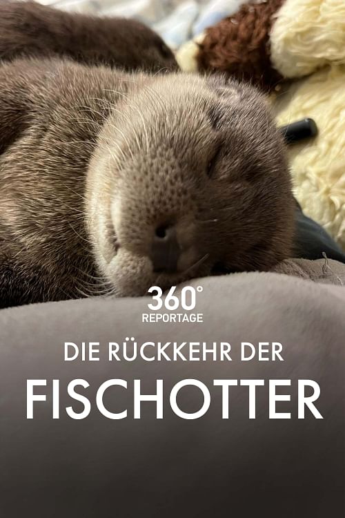 Die Rückkehr der Fischotter.